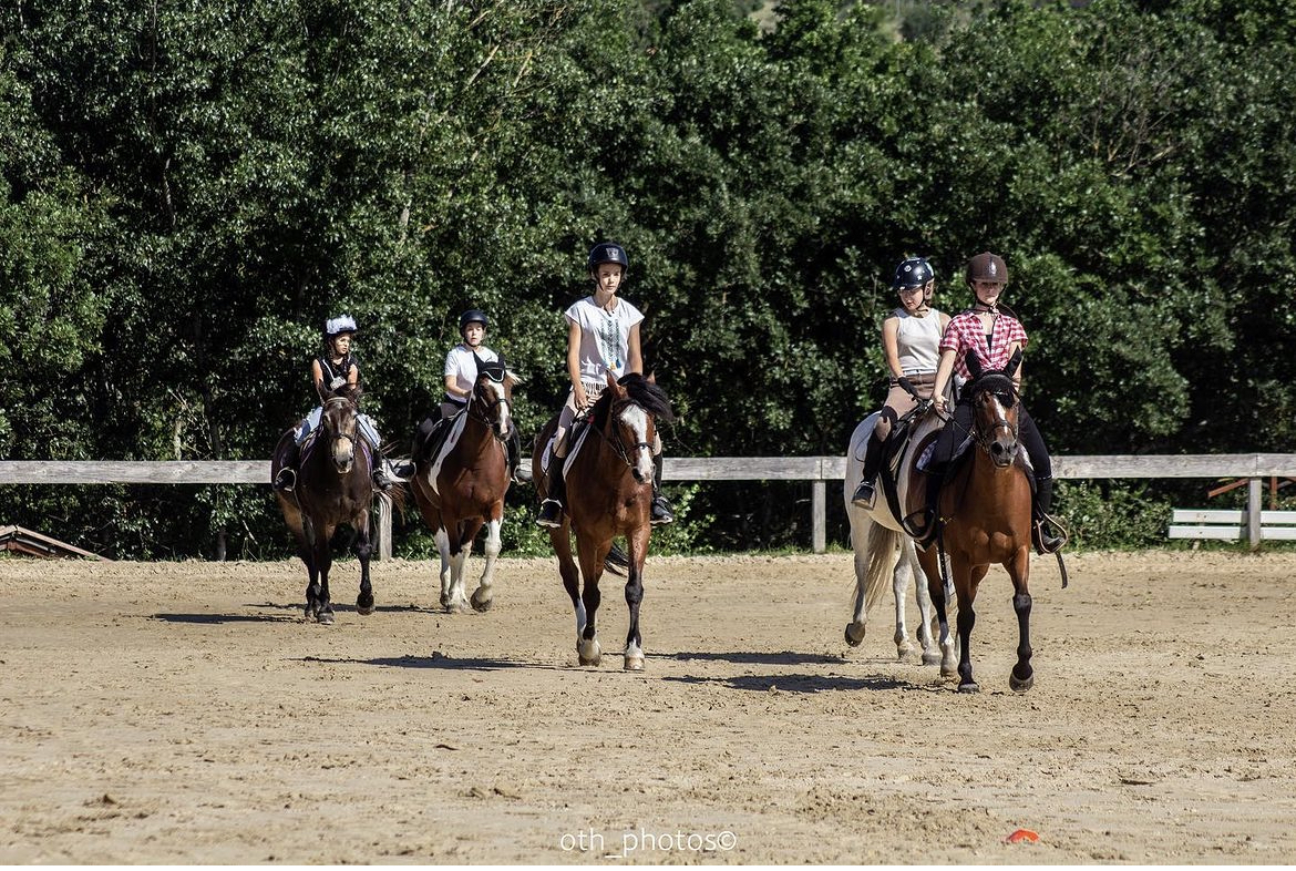 Rêves équestres, le nouveau spectacle équestre au Haras national d'Uzès - Ville d'Uzès